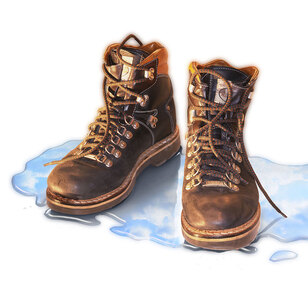 Pentascope Schoenen